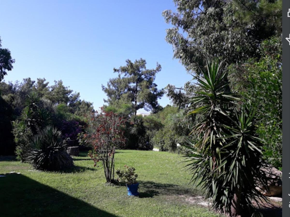 Trees Art Hotel Ialysos  Esterno foto